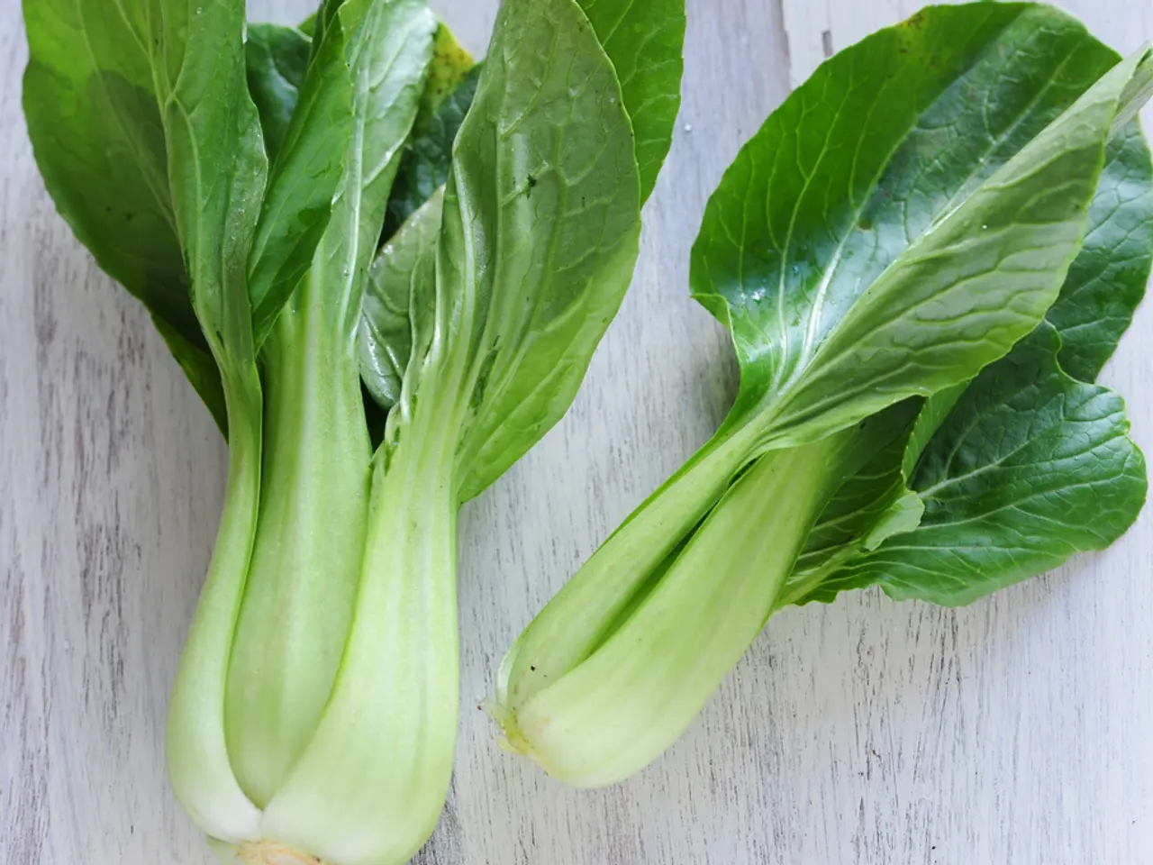 Hardy Vegetables Suitable for High Temperatures