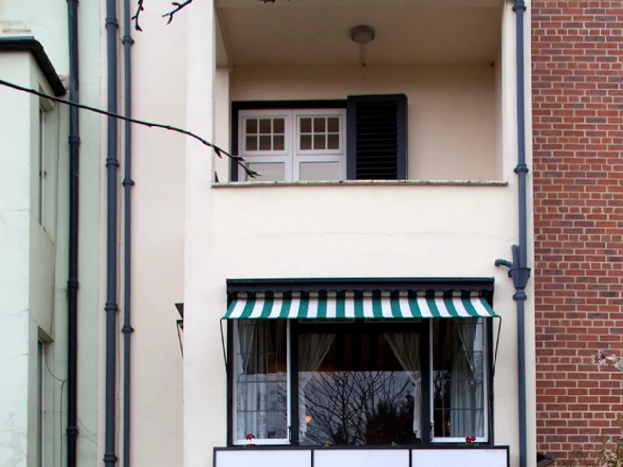 Explore these Top 10 Spectacular Species for Your Compact Urban Balcony Oasis!