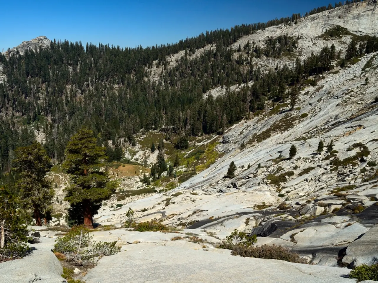 Ranch Images from Midland Unveiled