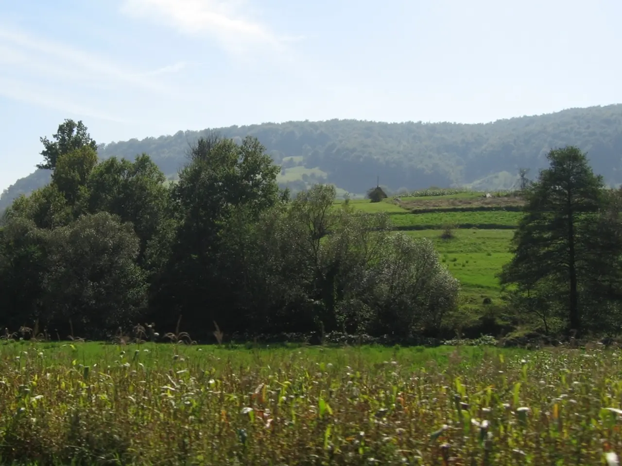 Eco-Friendly Lawn Maintenance: Step into the Future with Automated Lawn Mowing and Technology