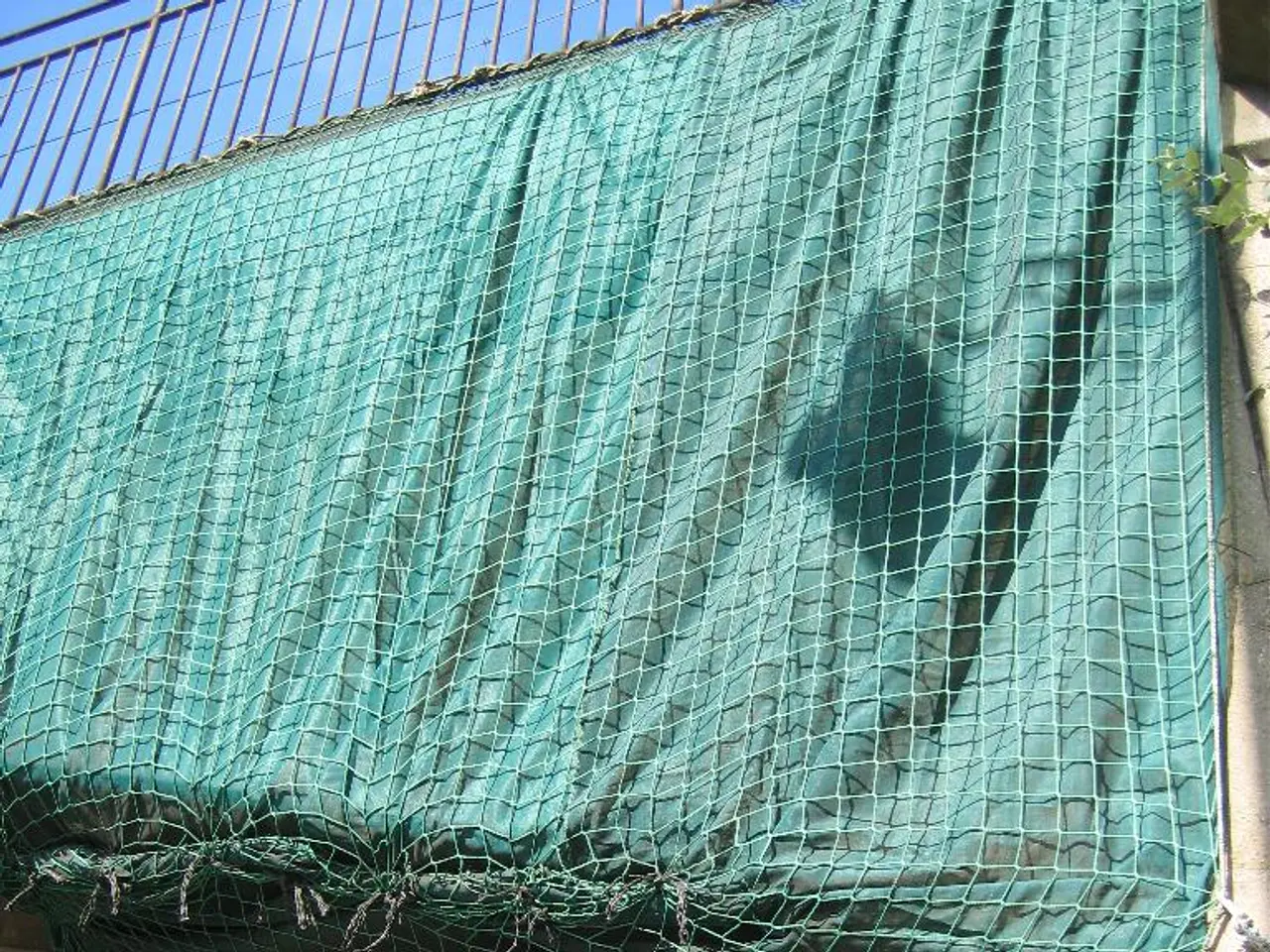 Exploring Eco-Friendly Aesthetics: The Way Forward for Wall Panels