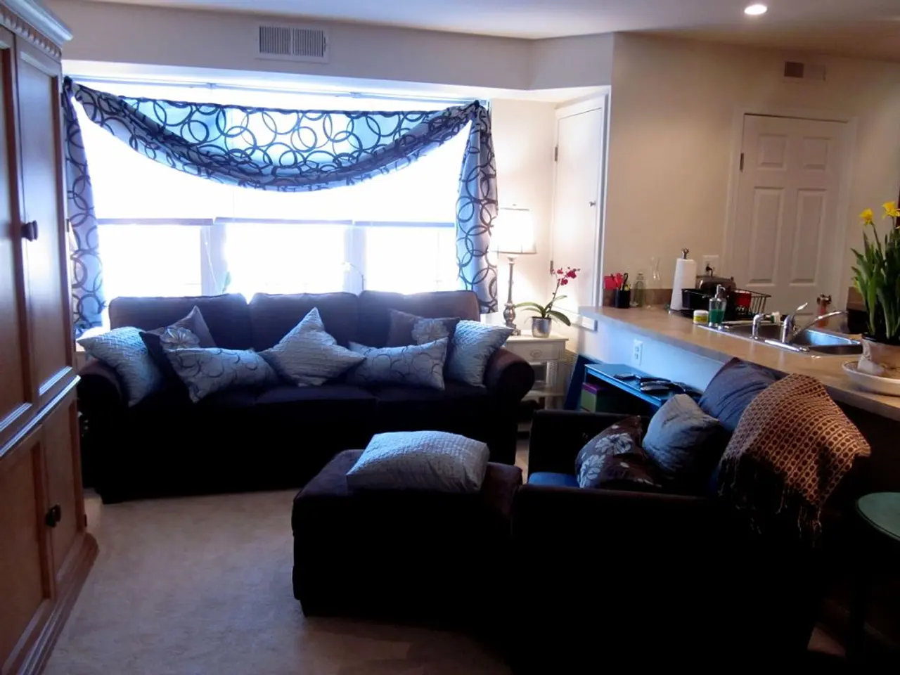 This picture is taken inside the room and in front, we see sofa chair and cushions on it. To the...