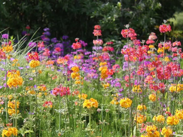 Top Perennials Ideal for Growing near Established Trees: