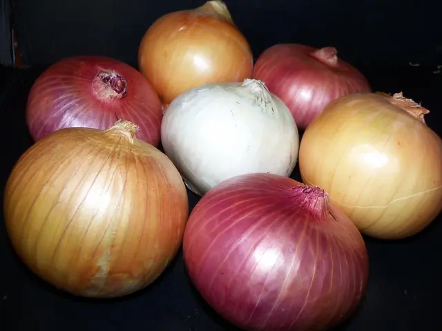 Guide on Growing Garlic: A Step-by-Step Approach