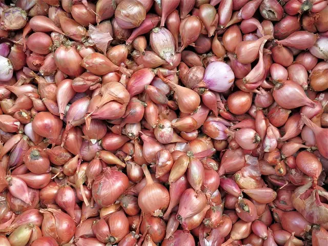 Methods for preserving onions at home: