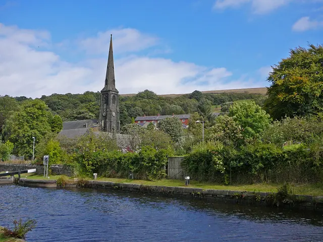 Watering Plants Optimally During a Heatwave: The Key Moments To Conserve Water Most Efficiently