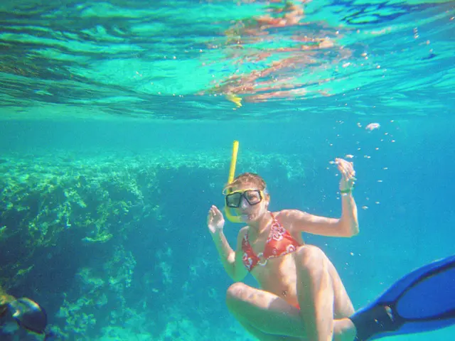 New Year's Day Dive Establishes Trend for the Following Year