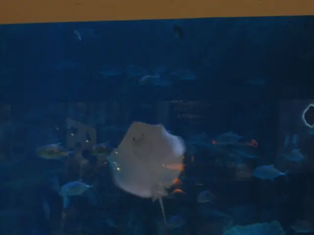 Guide for Acquiring Pest and Parasite Control in Reef Environments - Prevent Unwanted Intruders...