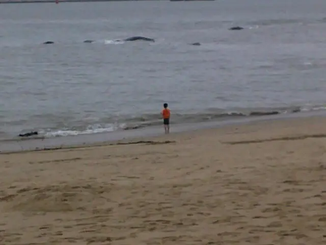 "Century-long prohibition lifted for Seine swimmers in Paris, fulfilling a long-held aspiration"