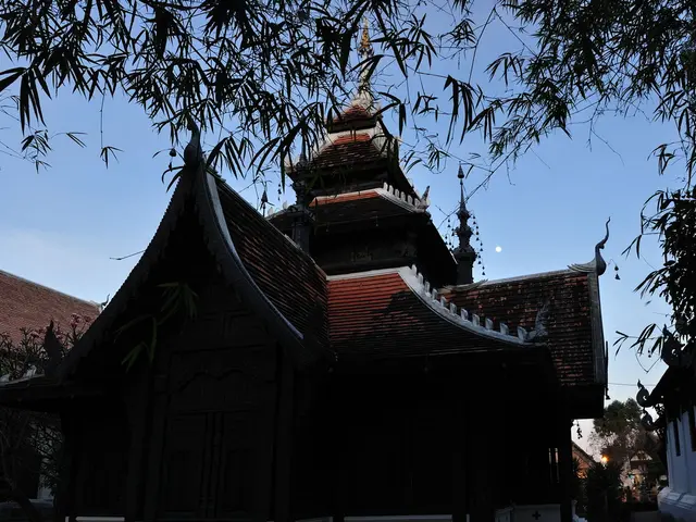 Ancient Chinese Penjing: A Study in Aesthetics for Bonsai Enthusiasts