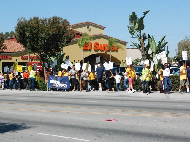 Design a day-to-day online survey to gather public opinions