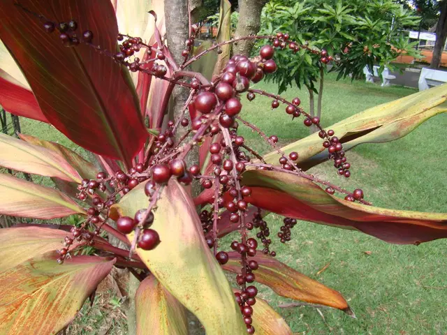 Plant Options for Low pH Soil: Gardening Tips