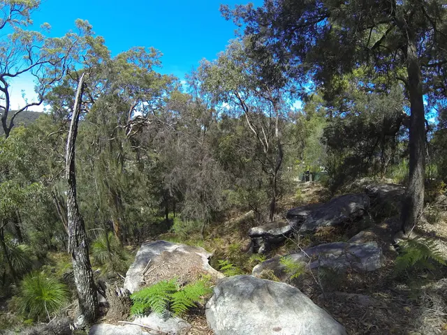 Blue Planet Review - Comprehensive Guide for Gamers: A Review