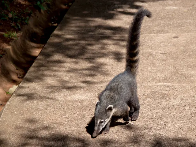 Indoor Plant Maladies: A Guide to Six Harmful Conditions That Could Be Affecting Your Greenery