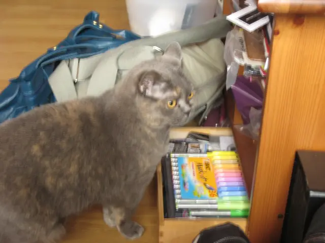 Cat's waste excavation simplified: Enjoy a substantial $200 discount on your preferred...