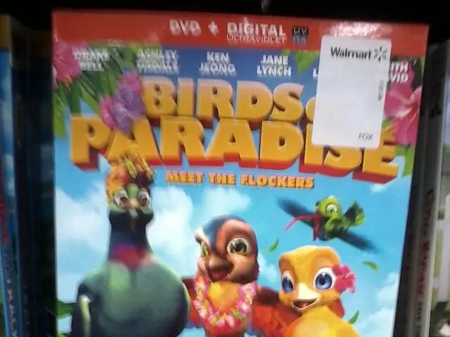 Prime Sale Event on Amazon (July 12-14): Top Wall Stickers Not to Miss