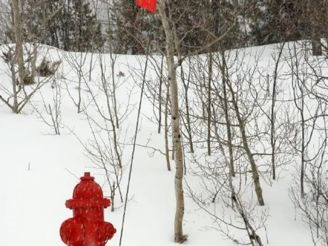 Mastering Hydrangea Care: Deadheading for Enhanced Blossoms and Stronger Vegetation
