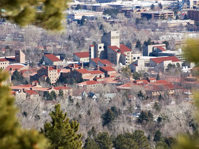 Cultivating and Maintaining Colorado Blue Spruce Bonsai: Essential Guidelines