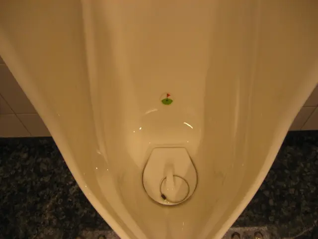 Urine-filled Trap Decontamination: Eliminating Mineral Buildups