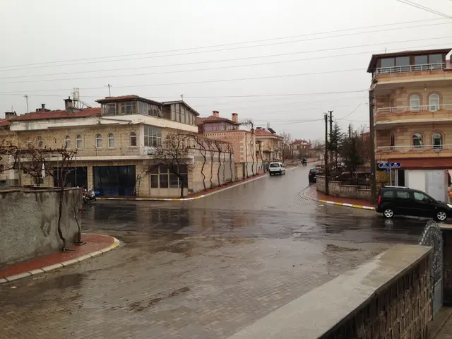 Expanding operations in the Netherlands, as demand for test drives persists