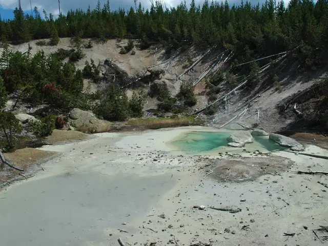 Preserving the Environment: Gradually Protecting Earth Through Individual Actions