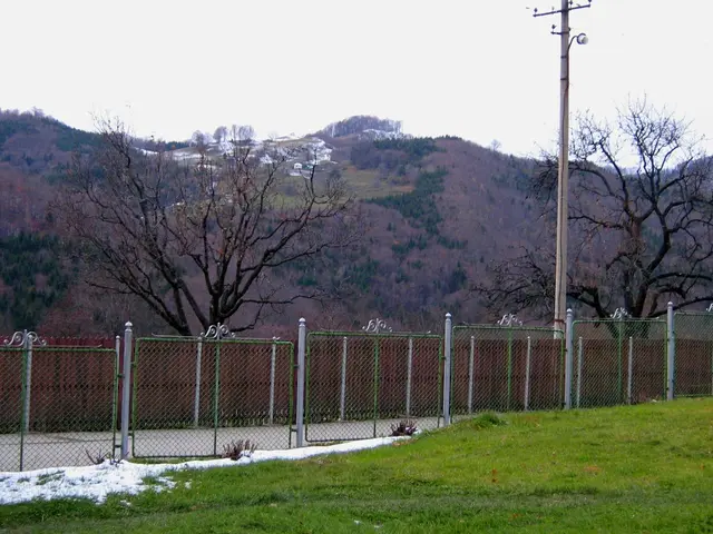 Farm Photos: A Captivating Look at Honey Hill Farm