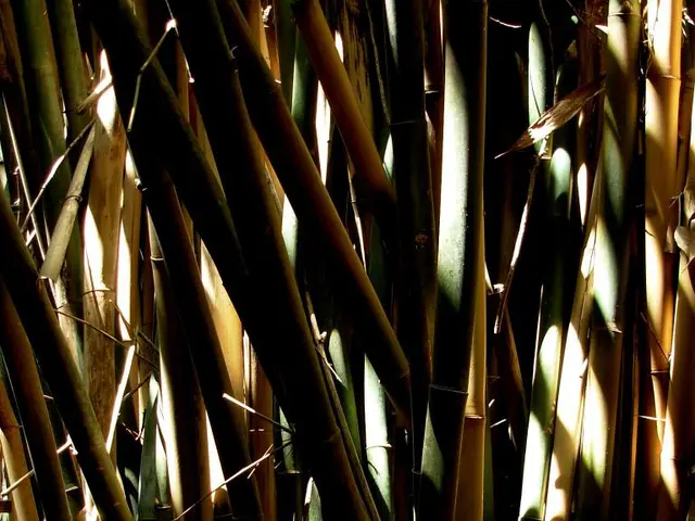 Admittedly, I have a discerning eye for bedding, and I can't resist sharing my secret: I purchased...