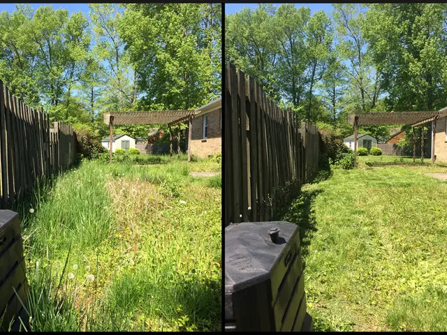 Uncover the cozy wooden interior hidden behind the chic slate facade of a Michigan lakeside...