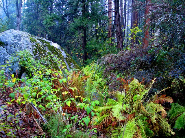 Portugal's largest lake, affectionately known as the "Sleeping Lagoon", boasts a size comparable to...