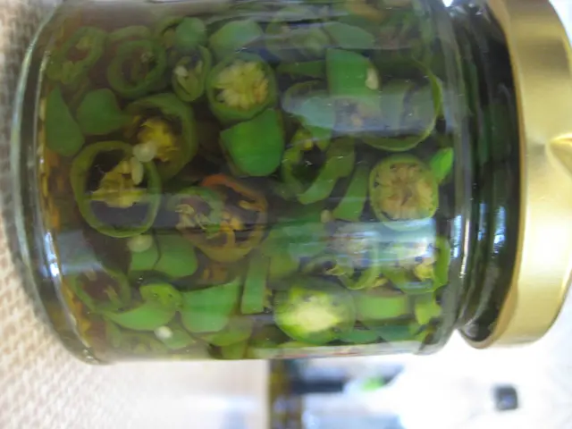 Preserved, Spicy Green Peppers (Jalapenos) Through Fermentation Process
