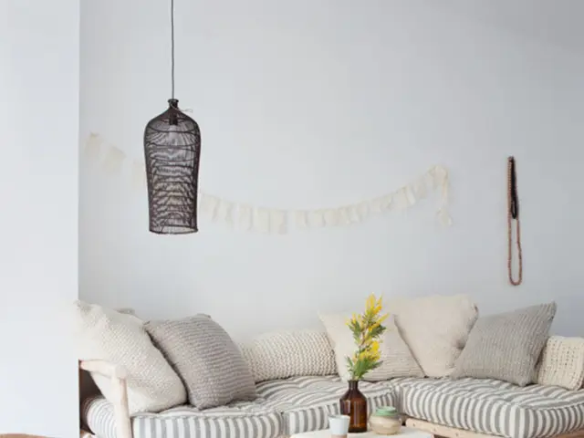 Natural methods to beat the heatwave: Discover 5 houseplants that aide in room cooling