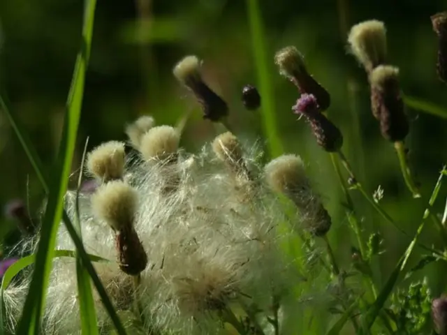 Emerging Organic Farming Developments to Monitor in 2024