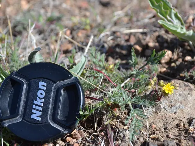 Iowa Landscaping Guides and Turf Care Information