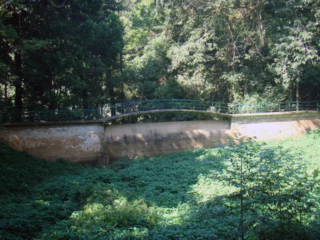 Vertical Gardening on Fences: Unleash Space-Saving Growth with These Top Vegetable Varieties