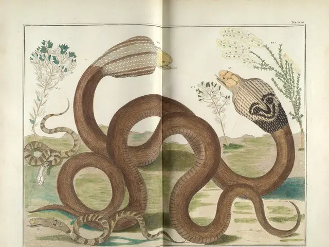 Daily Quiz on our platform, July 15, 2025: Snakes Galore!