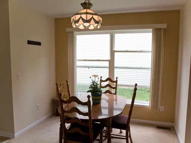 Indoor Plant Advantages: Boosting Home Wellbeing with the Top 10 Perks