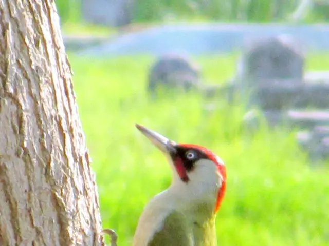 The sound you're hearing is, in reality, the rhythmic impact of the arrival of Spring