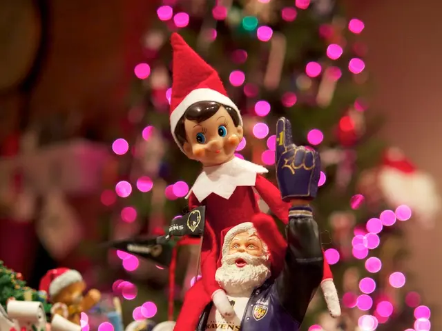 Amidst the heat of summer, Dieburg is scouting for a suitable Christmas tree.