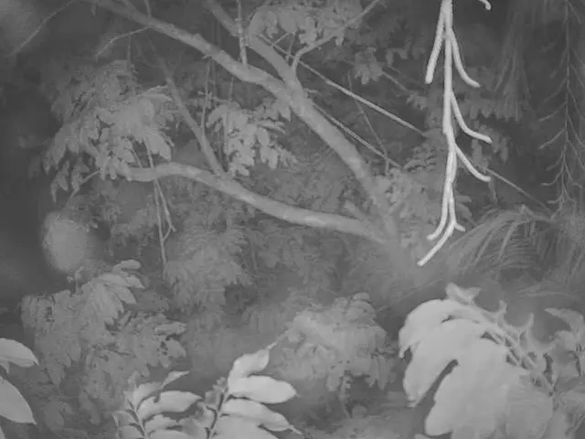 Ideal Moment for Tree Planting: Learn Essential Steps for your Sprout to Thrive Successfully