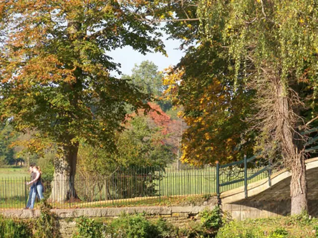 Town plans to install internet access throughout parks and trails in Smiths Falls