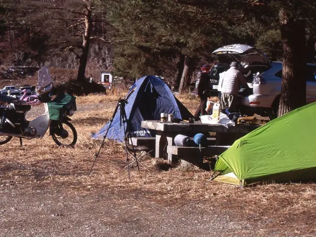 Unconventional advice for novices: pitch assistants offer insider tips