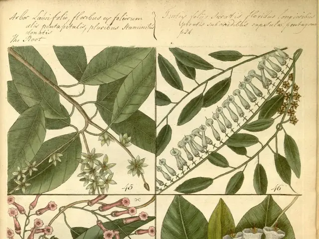 Revitalizing Your Lifeless or Struggling Green Thumb: A Guide to 13 Proven Techniques for...