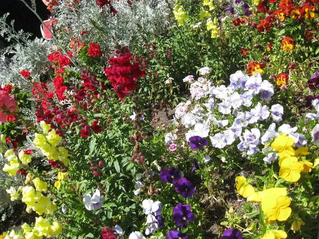 Transform Your Outdoor Space with These 10 Flower variety for Garden Beds