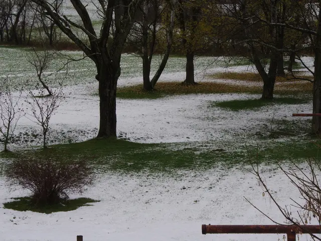 Implementing a Sustainable, Reduced-Carbon Lifestyle (Conclusion of 2 Parts)