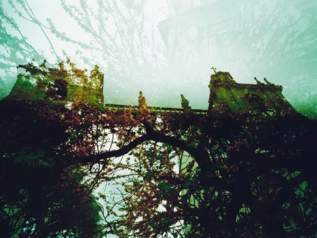 Reinforced Structure Bridge in Heidelberg Undergoes Rebuilding, Features Dedicated Bicycle Lane