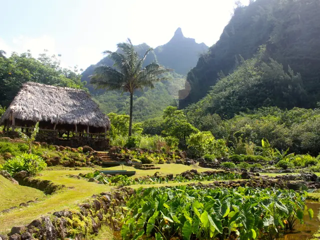 Top 3 At-Home Solutions for Alleviating Discomfort