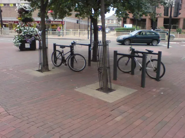 European Commission took part in planning initiatives for the Environmental Year across the...