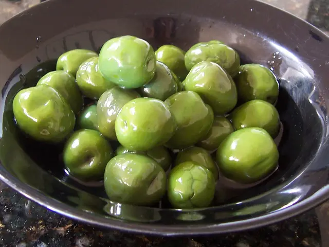 Guide to Cultivating Olives