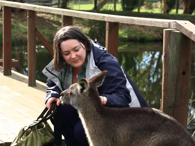 Review of "The Homestead in the Eucalypts" penned by Leonie Kelsall