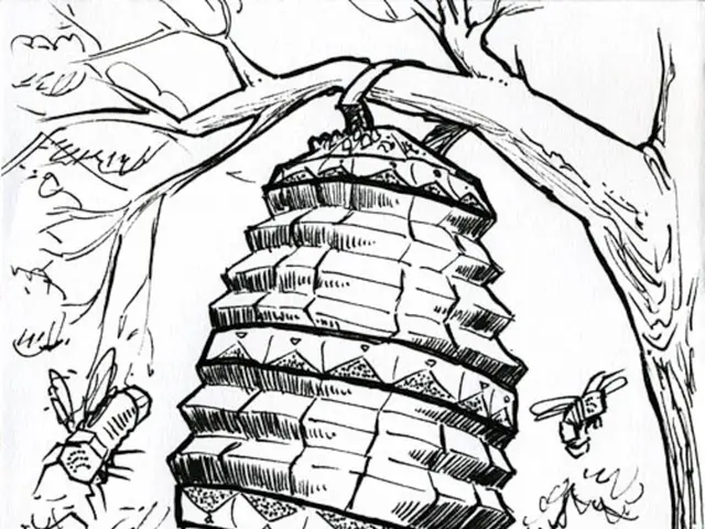 Redbud Leaves Form Heart Shapes